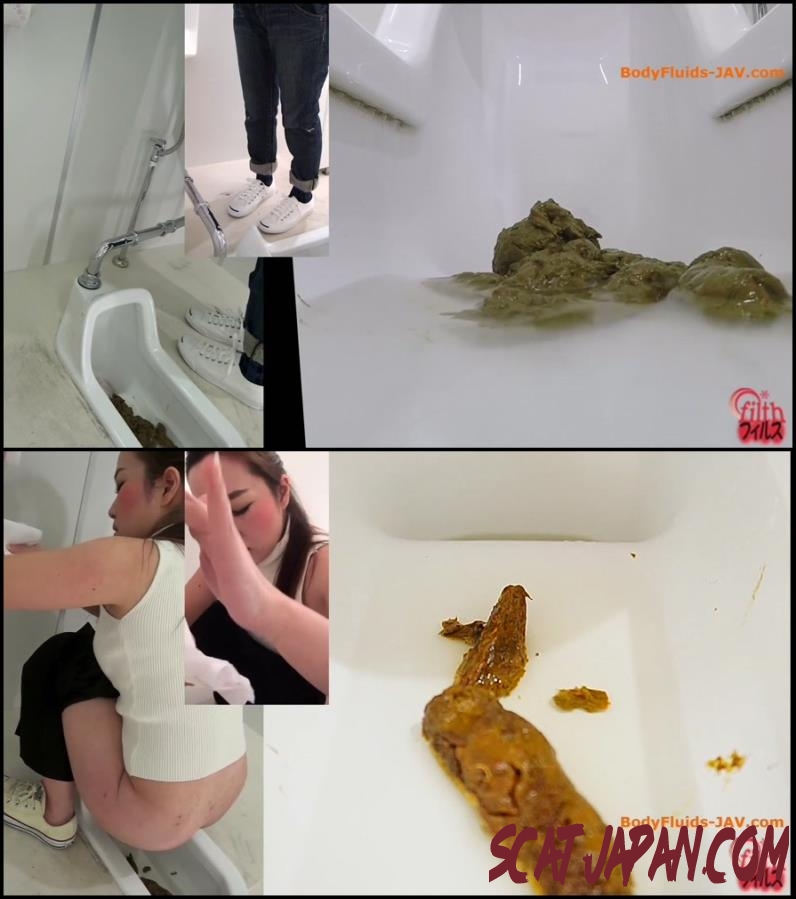 BFFF-143 Girls defecates big shit pile in public toilet close-up (239.2016_BFFF-143) [2018 | 280 MB]