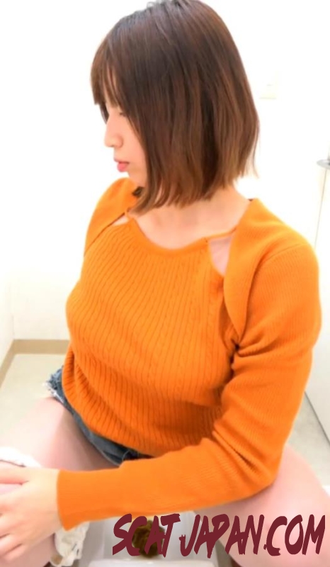 BFSR-683 Voyeur Farting and Shitting in the Toilet トイレでオナラとウンコをする盗撮 (1.5974_BFSR-683) [2025 | 143 MB]