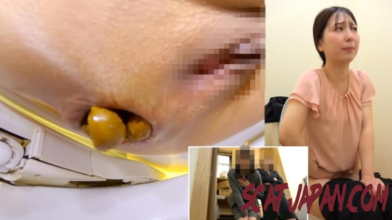 BFSL-313 トイレで排便する Defecating in the Toilet (1.6191_BFSL-313) [2026 | 566 MB]