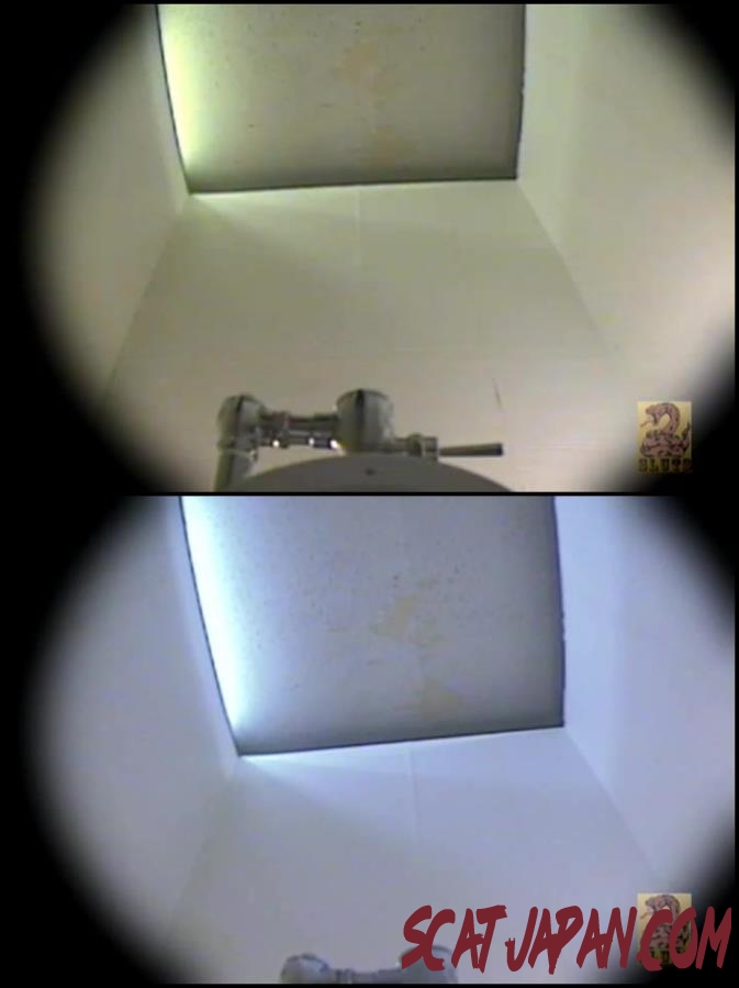 SLUF006 Toilet Defecation うんこフルショット　４カメ３マルチアングル　６　素人女編 (077.0649_SLUF006) [2018 | 2.07 GB]