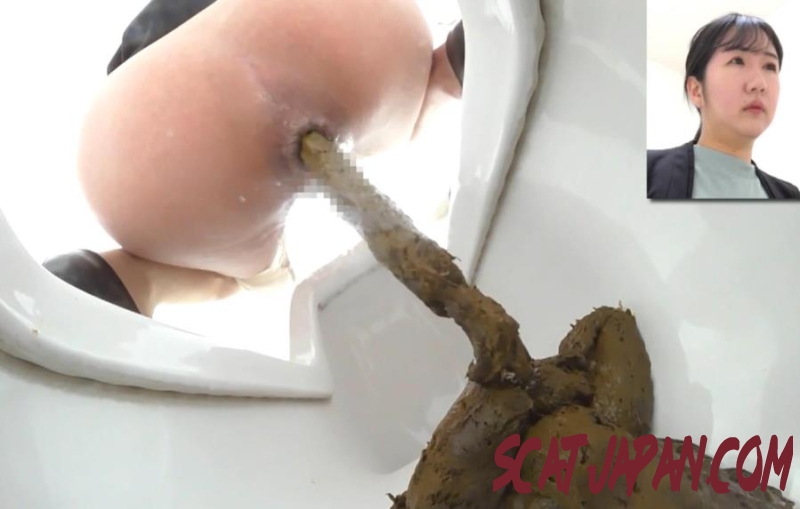 BFEE-312 Shit on Western and Japanese Style Toilets (1.6085_BFEE-312) [2026 | 316 MB]