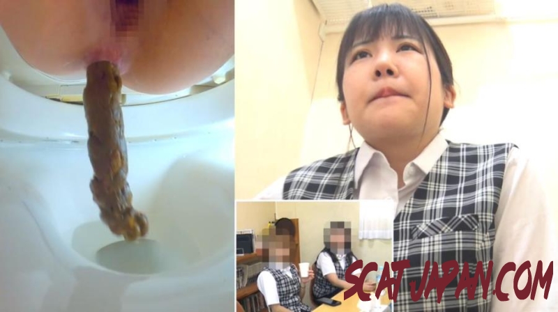 BFSL-300 Gases and Bowel Movements in Constipated Patients (2.6136_BFSL-300) [2026 | 236 MB]