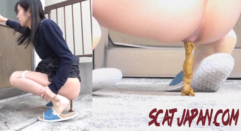 BFSL-305 排便に関する問題 Problems With Bowel Movements (1.6161_BFSL-305) [2026 | 307 MB]