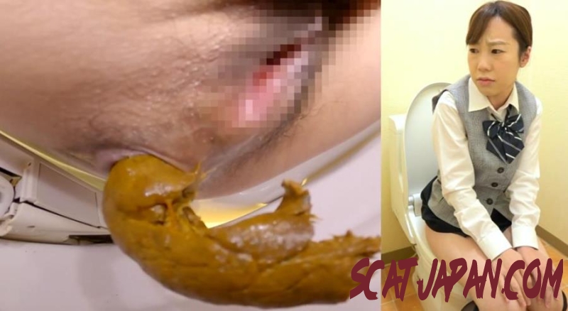 BFSL-317 Defecating in the Toilet トイレで排便する (1.6221_BFSL-317) [2026 | 155 MB]